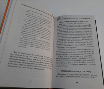 Петр Левин: Мудры. Все в одной книге. Исполни любое желание
