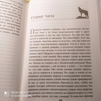 Петер Воллебен: Тайные связи в природе