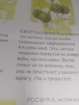 Барановская, Вайткене: Анатомия океана