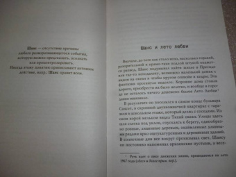 Кем Нанн: Доктор Шанс