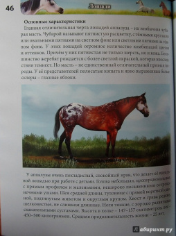 Леся Калугина: Хочу знать. Лошади