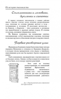 Пчеловодство для всех. Как перестать покупать мед
