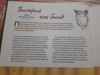 Стегман, Янсен: Наши соседи по планете. Рассказы о диких животных