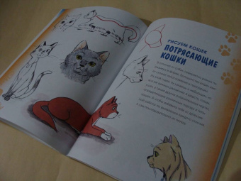 Кристофер Харт: Учимся рисовать кошек и собак. Пошаговые уроки по созданию домашних любимцев