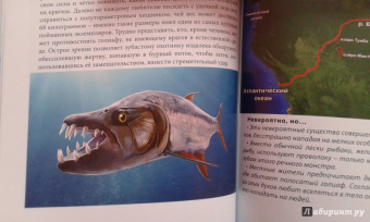 Ольга Тяжлова: Удивительные животные