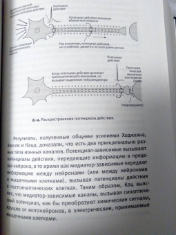 Эрик Кандель: В поисках памяти