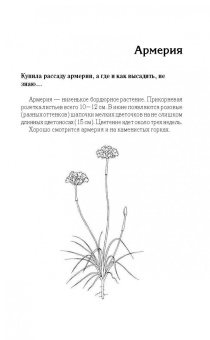 Галина Кизима: Красивый цветник. Ответы на главные вопросы