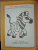 Весёлый зоопарк. Книжка-раскраска