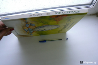 Кто спрятался?