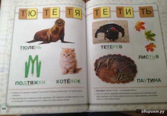 Лена Данилова: Учимся читать по складам. Для 3-5 лет