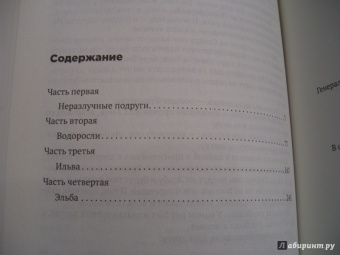 Сильвия Аваллоне: Стальное лето
