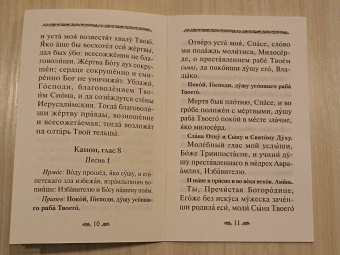 Канон о усопшем едином с чином литии, совершаемой мирянином дома и на кладбище