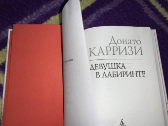 Донато Карризи: Девушка в лабиринте