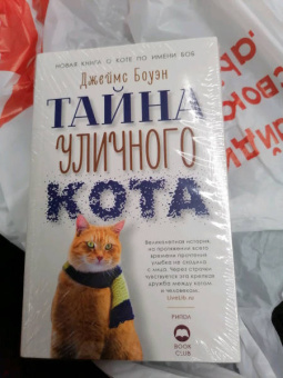 Джеймс Боуэн: Серия "Кот Боб". Комплект из 2-х книг