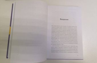 Ирина Васильева: Советы карьерного консультанта. Построить карьеру и сохранить стабильность в любой ситуации
