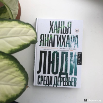 Ханья Янагихара: Люди среди деревьев