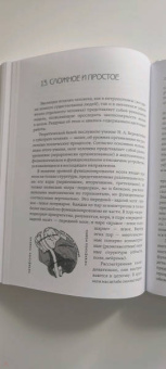 Татьяна Визель: Нейропсихология творчества
