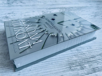 Джоди Пиколт: Девятнадцать минут