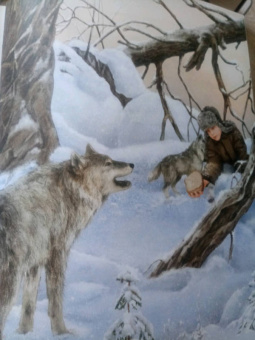 Елена Жданова: Сказки сибирских деревень