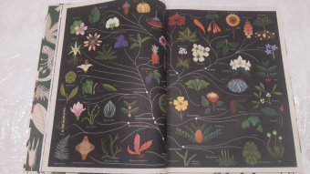 Кэти Уллис: Ботаникум