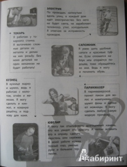 Елена Шейнина: Профессии