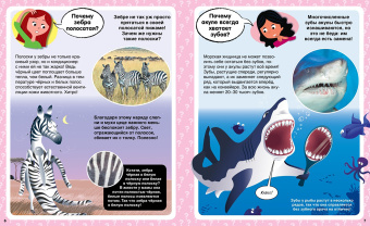 Кэти Франко: Почему? 100 вопросов и ответов в картинках