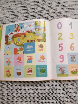 Тренируем память и внимание. 5-6 лет. Книжка с наклейками