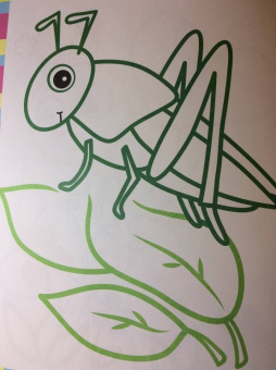 Первые букашки. Книжка-раскраска