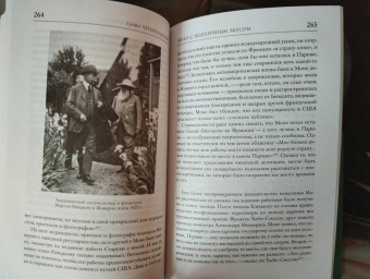 Росс Кинг: Чарующее безумие. Клод Моне и водяные лилии