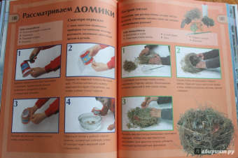 Юный эрудит. Современная энциклопедия окружающего мира