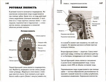 Андрей Шляхов: Анатомия на пальцах