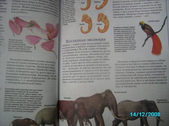 Большая иллюстр. энциклопедия знаний