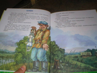 Анатолий Матвеев: Муравьиный слон