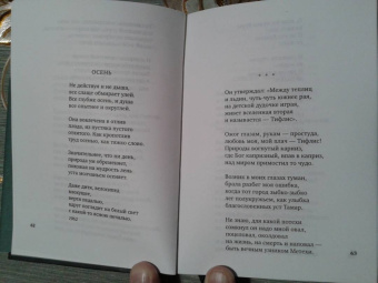 Белла Ахмадулина: "По улице моей который год...". Стихотворения и поэмы