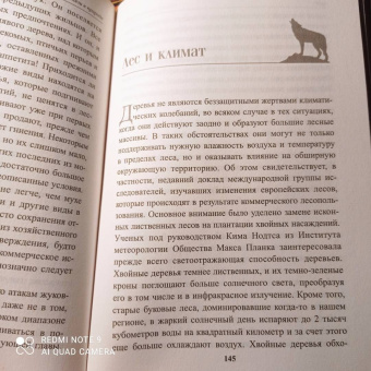 Петер Воллебен: Тайные связи в природе