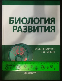 Барреси, Гилберт: Биология развития
