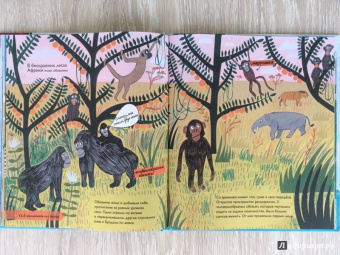 Барр, Уильямс: История жизни. Моя первая книга об эволюции