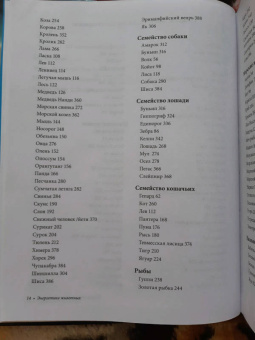 Мелисса Альварес: Как усилить свою энергию. 176 животных, которые станут вашими проводниками и хранителями