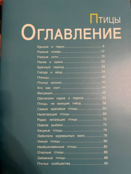 Птицы