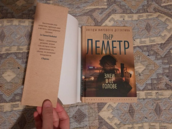 Пьер Леметр: Змеи в ее голове