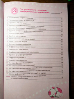 Огами Такэхико: Производные и интегралы