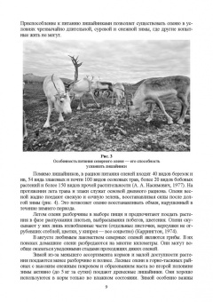 Анатолий Суворов: Основы полевых наблюдений. Следы жизнедеятельности зверей и птиц. Учебник для СПО