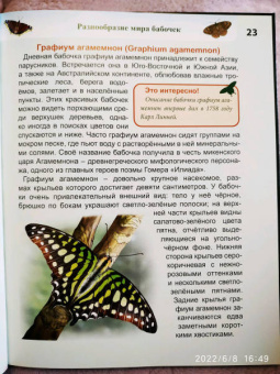 Людмила Соколова: Энциклопедия. Бабочки