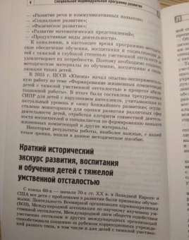 Басангова, Мартыненко, Баранова: Специальная индивидуальная программа развития для детей с нарушением интеллекта