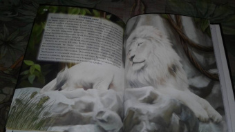 Владислав Щербак: Хочу знать. Львы