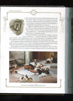 Лялина, Лукашевич, Баранцевич: Новые лохматые истории. Рассказы о собаках