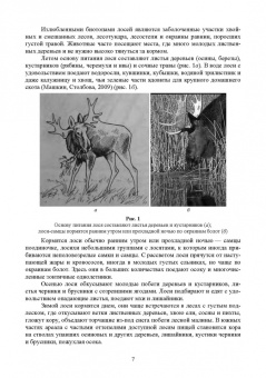 Анатолий Суворов: Основы полевых наблюдений. Следы жизнедеятельности зверей и птиц. Учебник для СПО