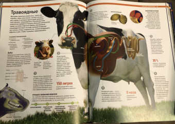 Малиция, Сориано, Фернандес: Тайны планеты Земля. Большая иллюстрированная энциклопедия