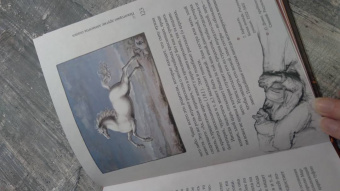 Владимир Пропп: Морфология волшебной сказки