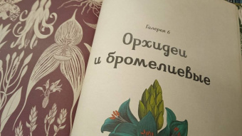 Кэти Уллис: Ботаникум